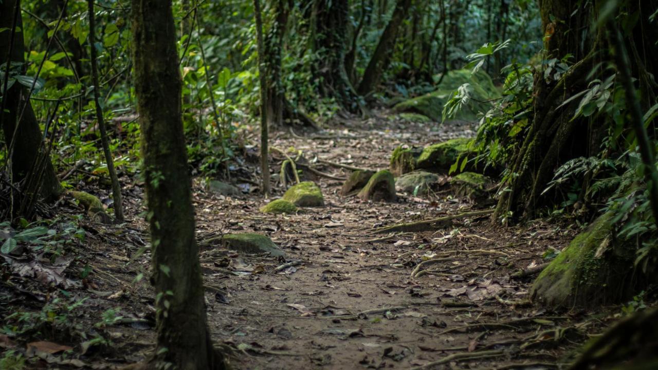 Hotel Rancho Cerro Azul La Fortuna Екстериор снимка