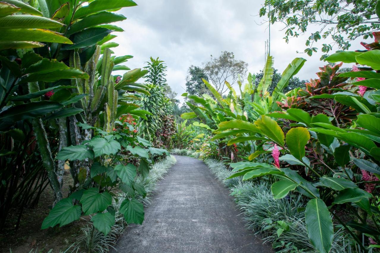 Hotel Rancho Cerro Azul La Fortuna Екстериор снимка